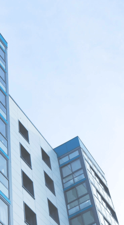 佳鑫諾專升本,企業(yè)文化,我們的價值觀